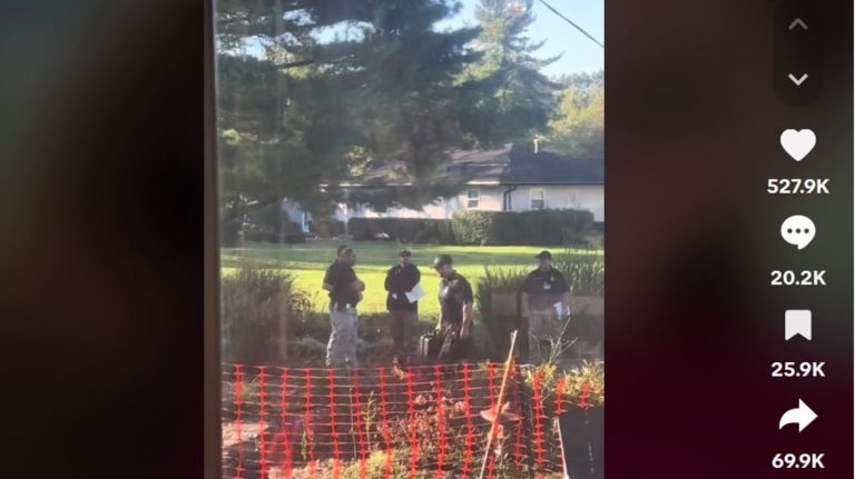 Ohio, USA: Alter Teppich im Garten mündet in virtuelle Verbrecherjagd auf Tiktok