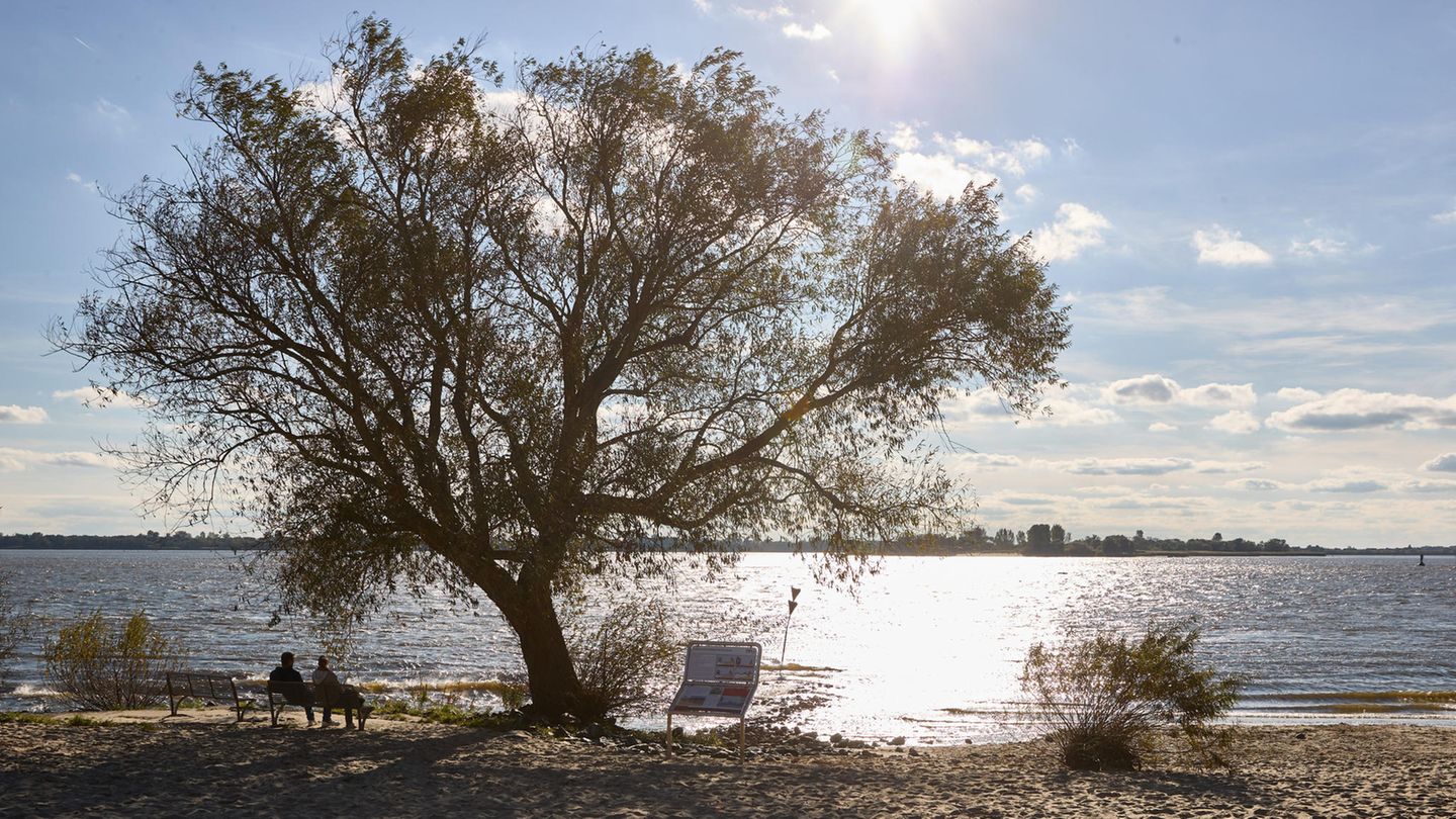 Vorhersage: Regen und Wind verdrängen die Sonne – so wird das Wetter am Dienstag