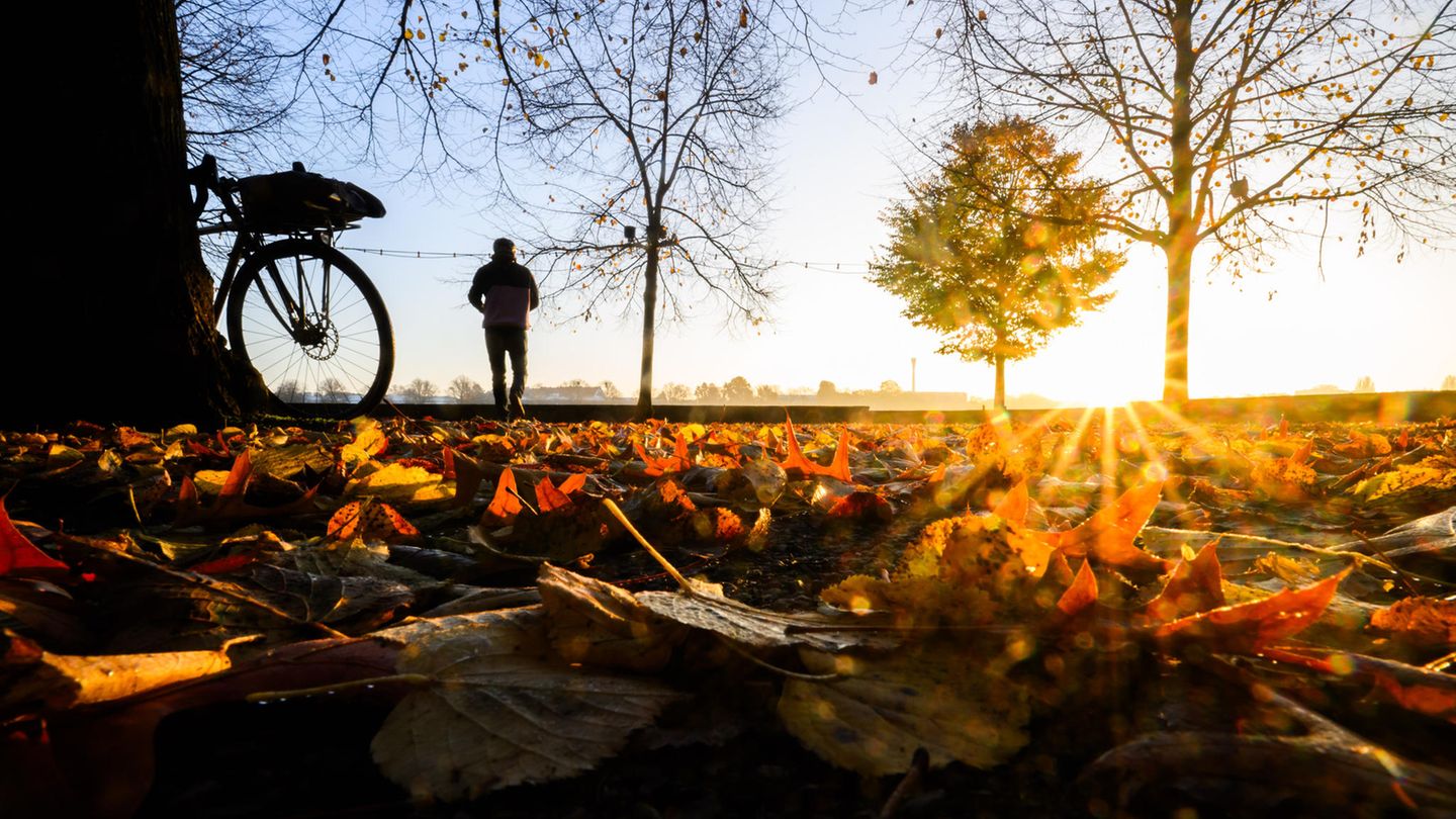 Vorhersage: Sonne nur für wenige – so wird das Wetter am Montag