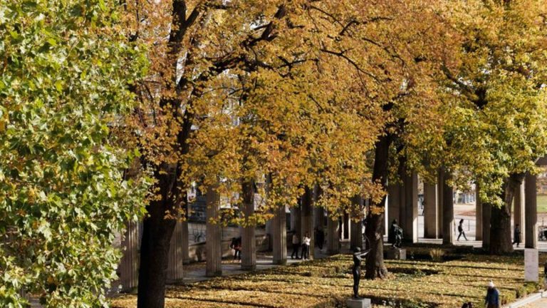 Wettervorhersage: Mildes Herbstwetter in Berlin und Brandenburg