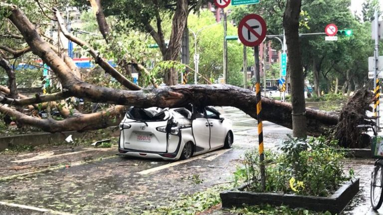 Taifun: Japan bereitet sich auf Tropensturm "Kong-rey" vor