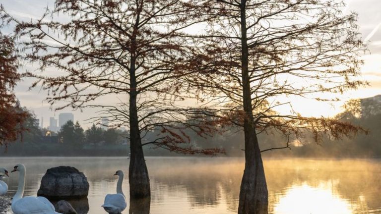 Wetteraussichten: Weiter heiteres Herbstwetter in Hessen erwartet