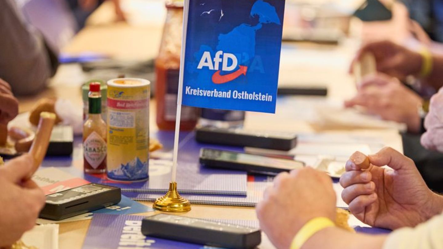 Parteitag der AfD: Kleinschmidt bleibt AfD-Landeschef und wird Spitzenkandidat