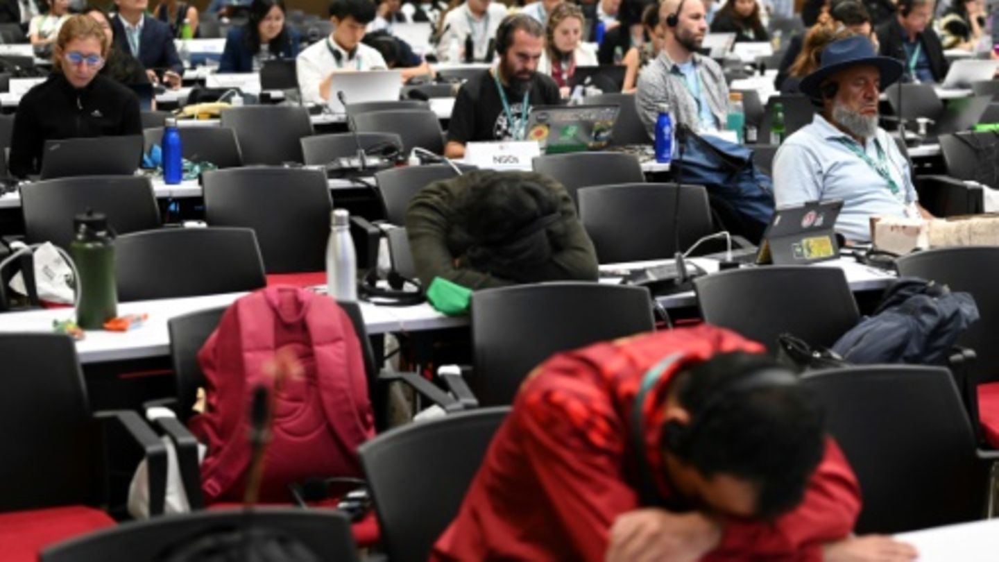 UN-Artenschutzkonferenz endet ohne Einigung zu Finanzierungsfragen