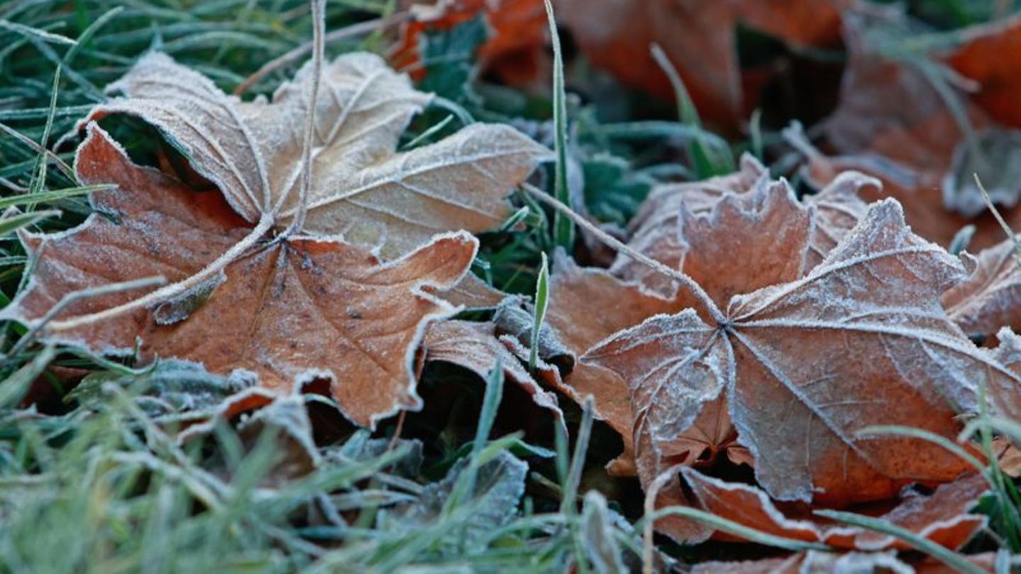 Wetter: DWD: Sachsen-Anhalt startet bewölkt und frostig in die Woche