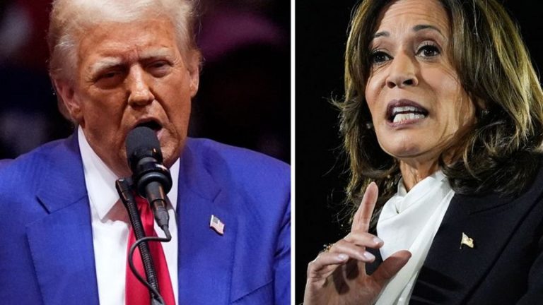 Harris gegen Trump: Finale im US-Wahlkampf: Alle Kraft in die "Swing States"