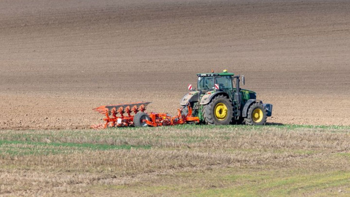 Giftstoffe: Klimawandel aktiviert giftige Metalle in Böden