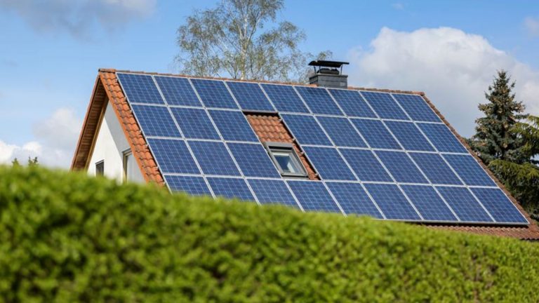 Energieversorgung: Stromeinspeisung gestiegen - zwei Drittel von Erneuerbaren