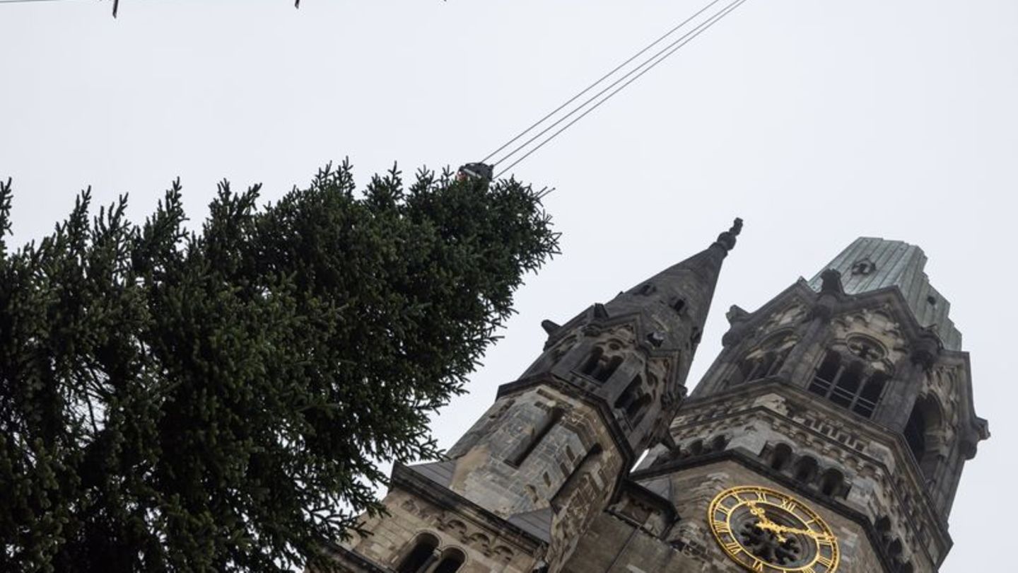 Tannenbaum an Gedächtniskirche: Berliner Weihnachtsbaum pannenfrei gelandet