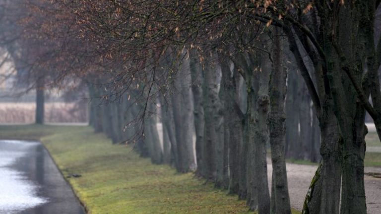 Vorhersage: Nebelig-regnerisches Herbstwetter in Mecklenburg-Vorpommern