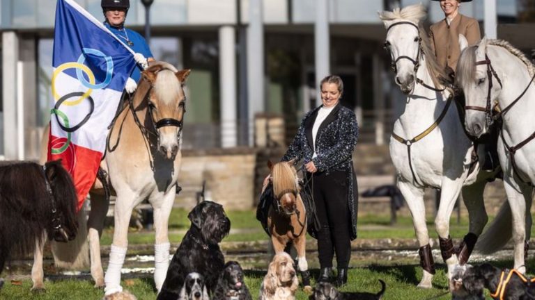 Publikumsmesse: Messe "Hund & Pferd" mit Shows und Dog Dancing