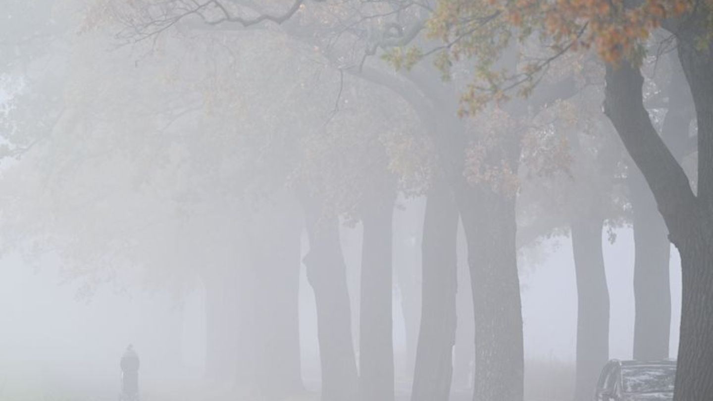 Deutscher Wetterdienst: Neblig-trübes Herbstwetter in Hamburg und Schleswig-Holstein