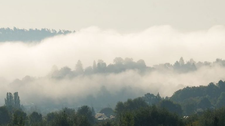 Wetter: Nebel und Wolken zum Ende der Woche