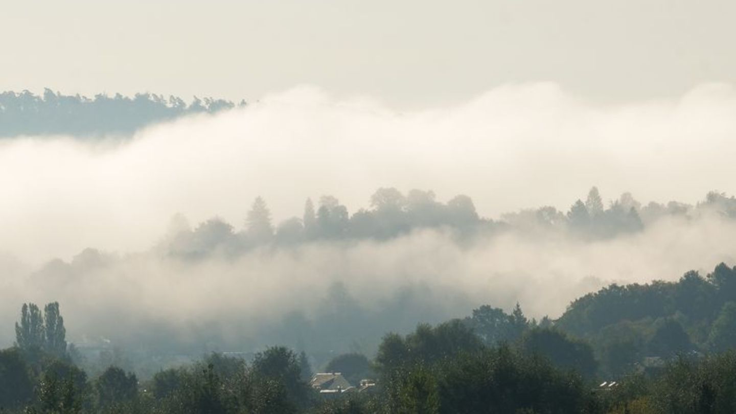 Wetter: Nebel und Wolken zum Ende der Woche