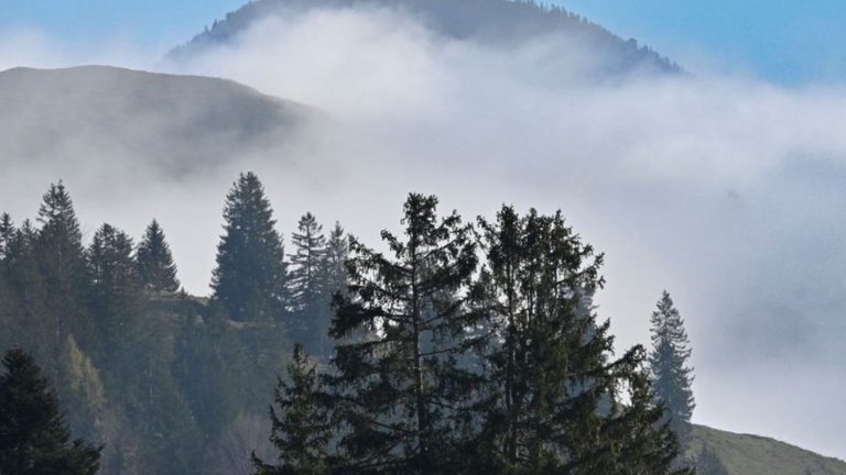 Wetter: Nebel und Minusgrade in Bayern