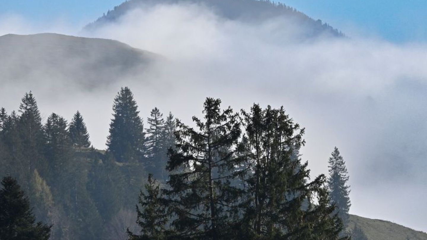 Wetter: Nebel und Minusgrade in Bayern