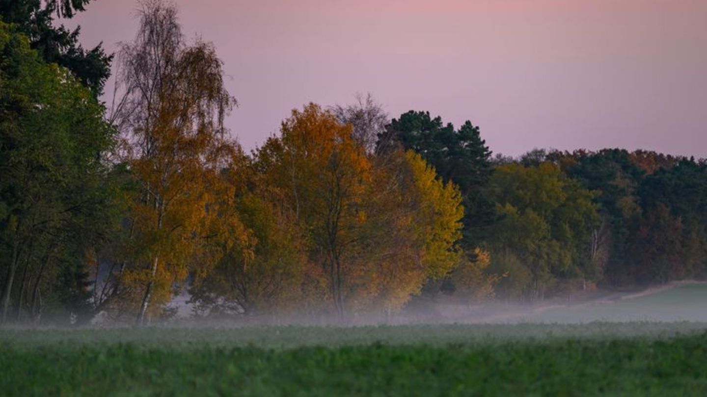 Wetter: Sonne und Wolken in Berlin und Brandenburg