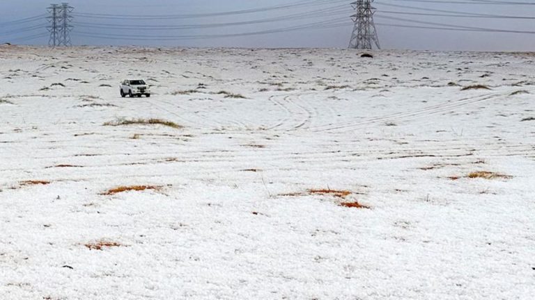 Wetter: Seltener Schnee in Saudi-Arabien - Wüste weiß bedeckt