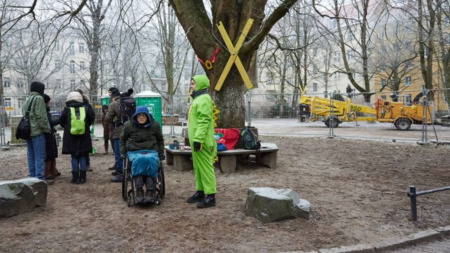 Umstrittenes Vorhaben: Verbände pochen auf Artenschutz bei Wohnungsprojekt