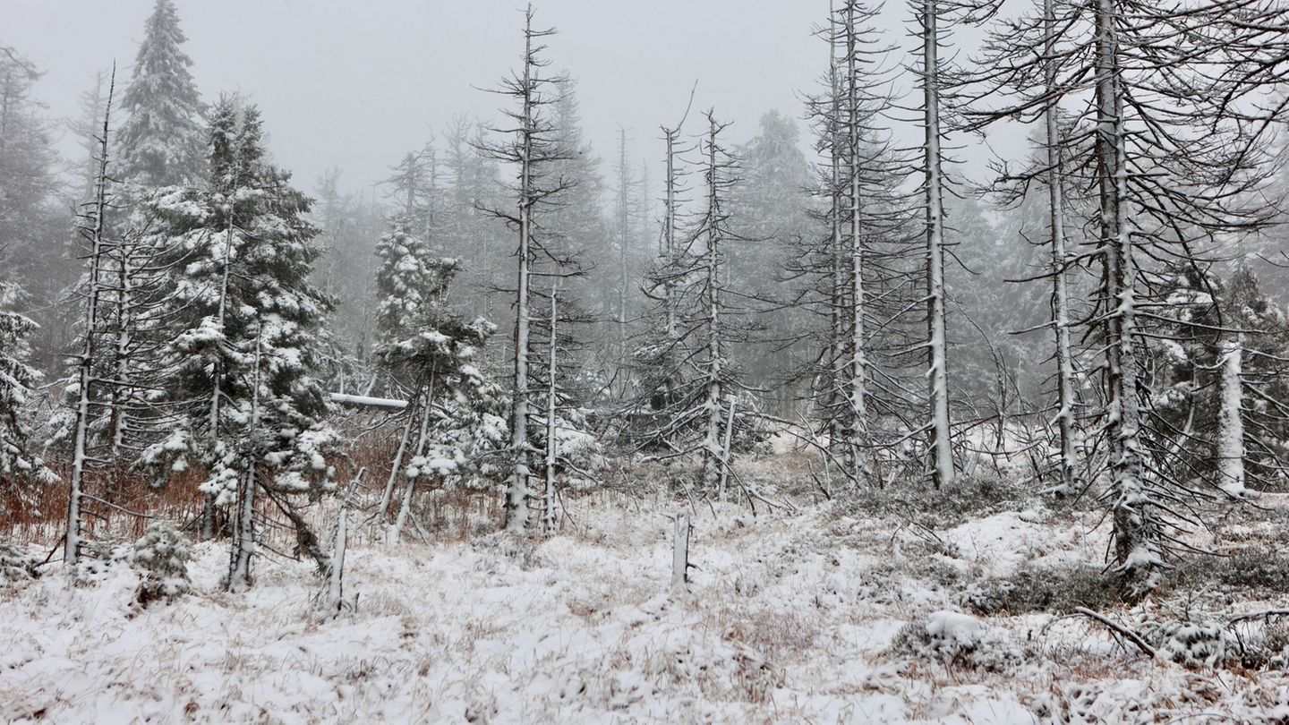 Wettervorhersage: Tief "Quiteria" bringt Sturmböen und Schnee