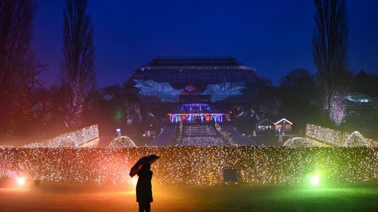 Lichtinstallationen: Weihnachtliches Leuchten im Botanischen Garten beginnt