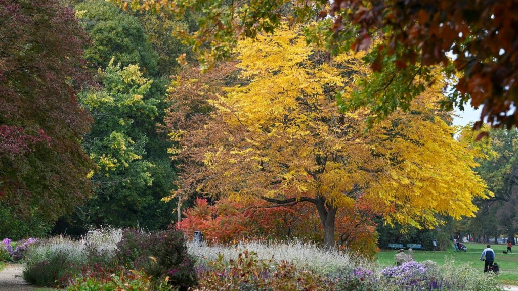 Klimawandel: 33.000 Unterschriften für Volksbegehren zur Klimaanpassung