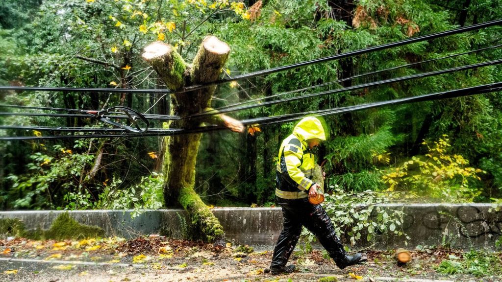 Unwetter: Heftiger Sturm an US-Westküste - Hunderttausende ohne Strom