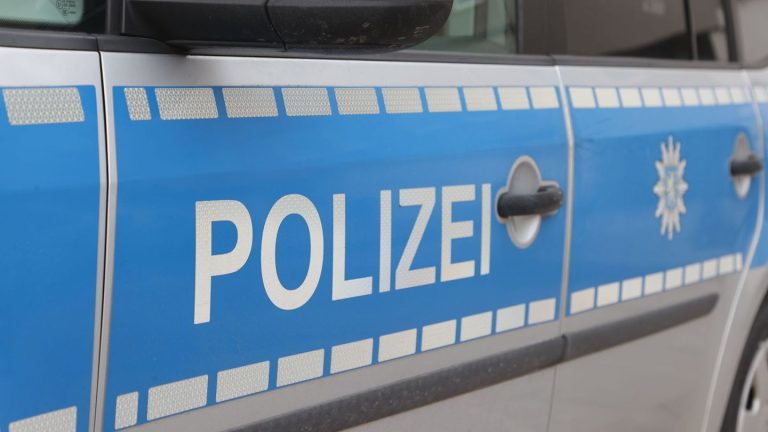 Unfälle: Auto erfasst Pferd in Wasungen - Tier wird eingeschläfert