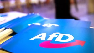 AfD-Landesparteitag: AfD-Landesparteitag beschäftigt sich mit "Remigration"