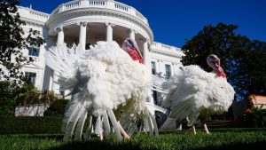 Brauchtum: US-Medien geben Tipps für ein harmonisches Thanksgiving