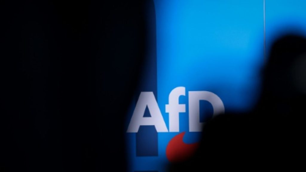 AfD will Abtreibungen weitgehend einschränken - Wahlprogramm veröffentlicht