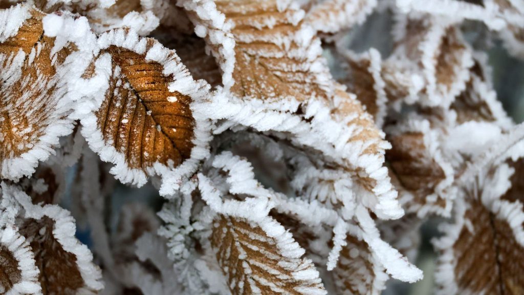 Wettervorhersage: Frostiger erster Advent - Regen und Wolken zum Wochenstart