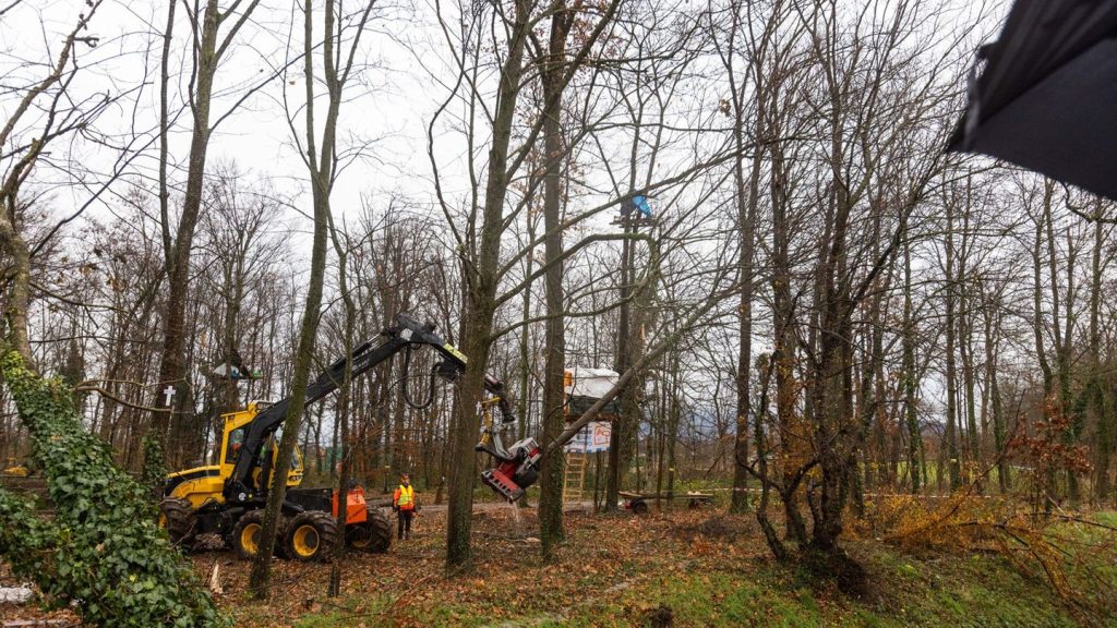 Großeinsatz: Polizei räumt Wald in künftigem Freiburger Neubaugebiet