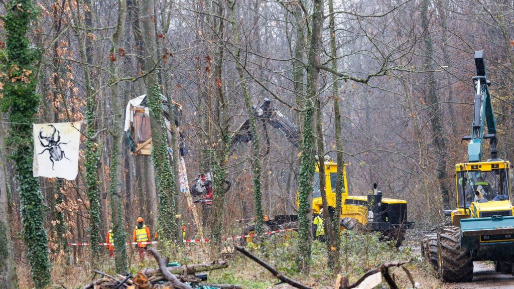 Neubaugebiet: Elf Aktivisten in besetztem Freiburg-Waldstück festgenommen