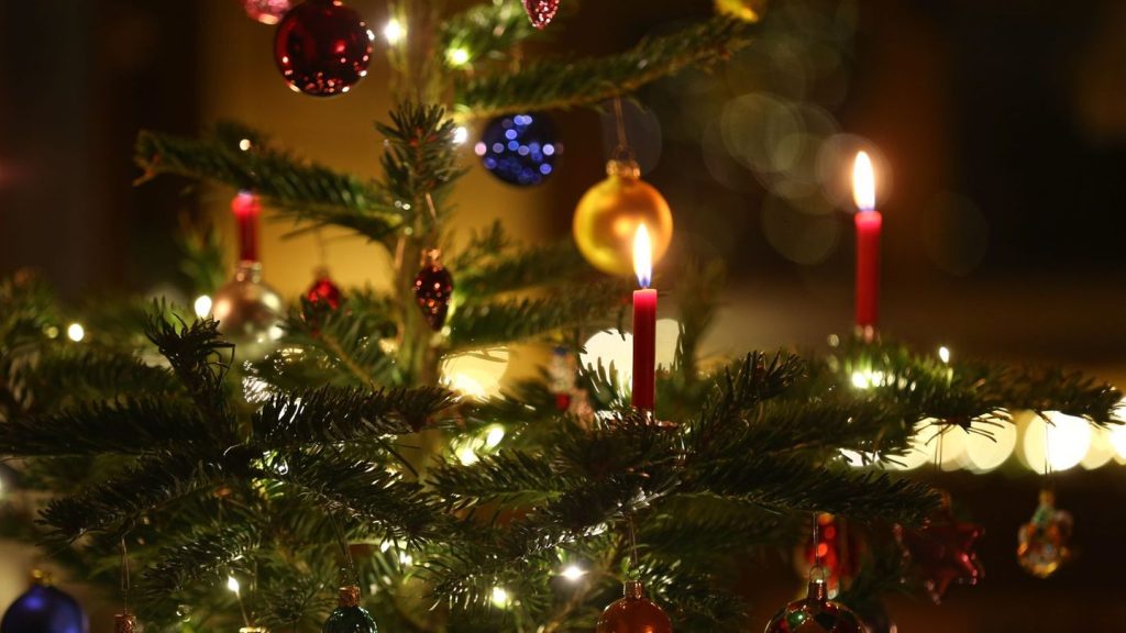 Weihnachten: Früher war später Lametta - zeigt eine Tannenbaum-Umfrage