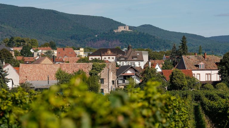 Landesfest: Staffelstab für Rheinland-Pfalz-Tag an Neustadt übergeben