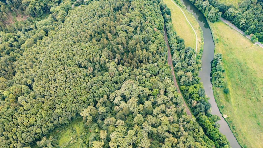 Notfälle: Fast 450 Vermisste in Sachsen - Zwei spektakuläre Fälle 2024