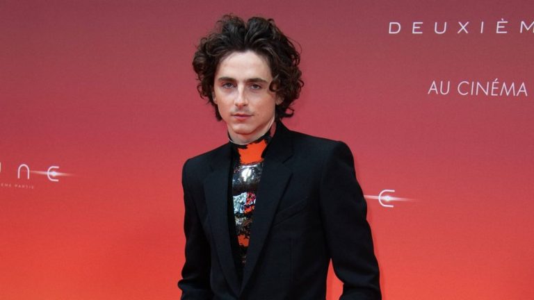 Timothée Chalamet: Fans wundern sich über bizarren Livestream