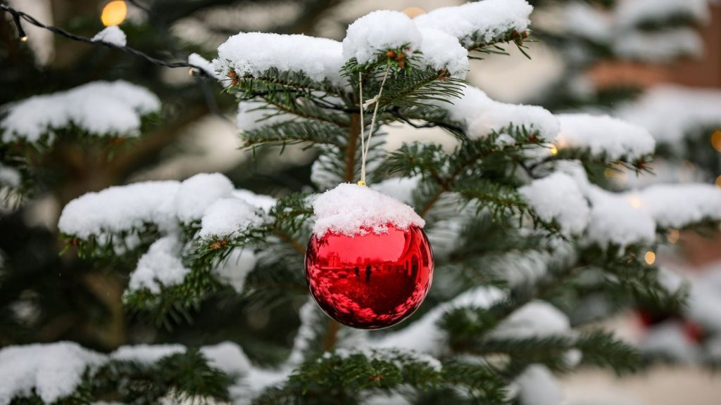 Wetter: Weiße Weihnachten: 15 Zentimeter Neuschnee in den Alpen