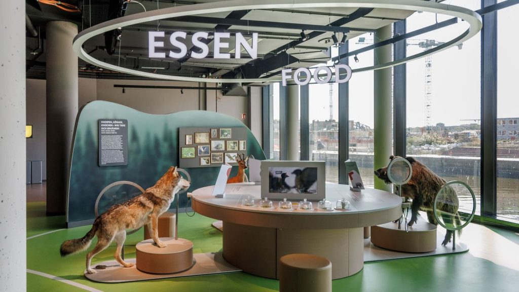 Tierisches Museum in Hafencity: Lernwerkstatt der "Botschaft der Wildtiere" sehr gefragt