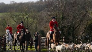 Britisches Brauchtum: Laute Forderungen nach Jagdverbot in England