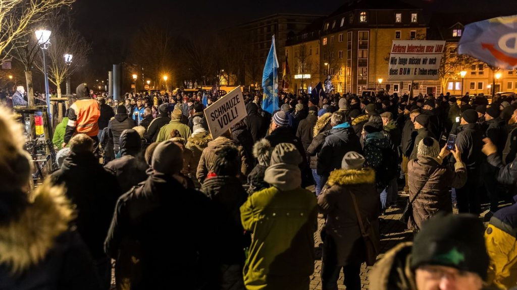 Zuwanderung: Demo gegen Migrationspolitik in Cottbus