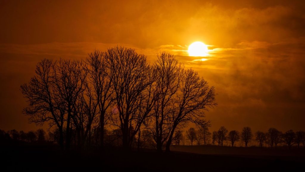 Wetter: Kalte Polarluft und kurze Lichtblicke in MV