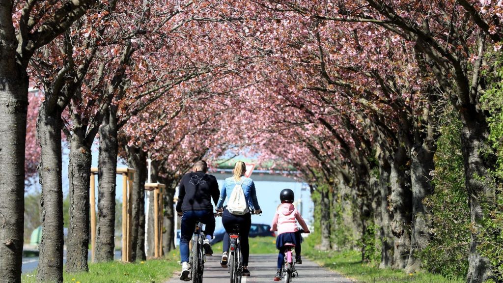 Ausbau von Radwegen: ADFC kritisiert Streichung bei Mitteln zum Radwegebau