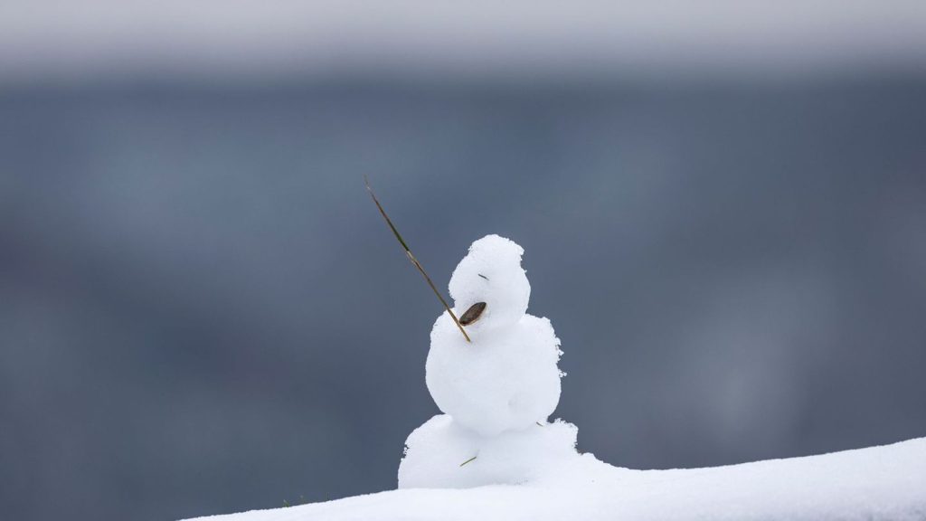 Warten auf Schnee: Es schneit etwas - und taut dann schnell wieder