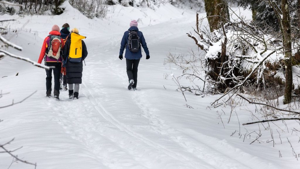 Wintersport: Thüringen im Flockenwirbel - Tauwetter kommt