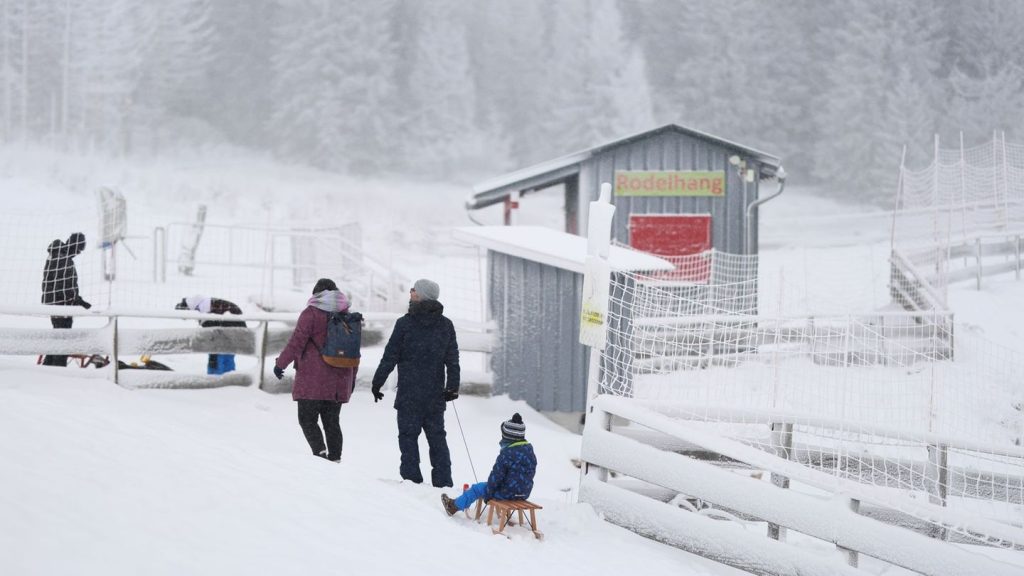 Verschneites Wetter: Wintertrubel im Norden mit tierischen Zwischenfällen