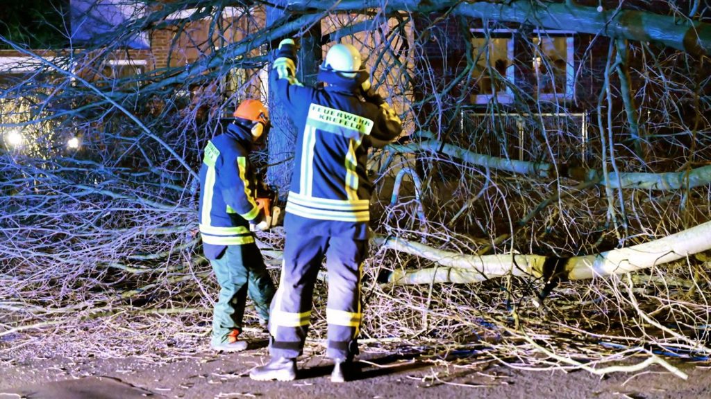 Unwetter: Sturm weht Bäume um: Zuglinien in NRW gesperrt