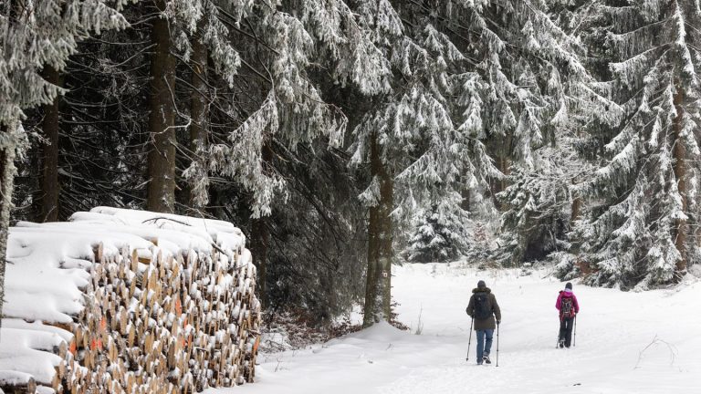 Wintersport: Milde Temperaturen setzen Langlaufstrecken zu