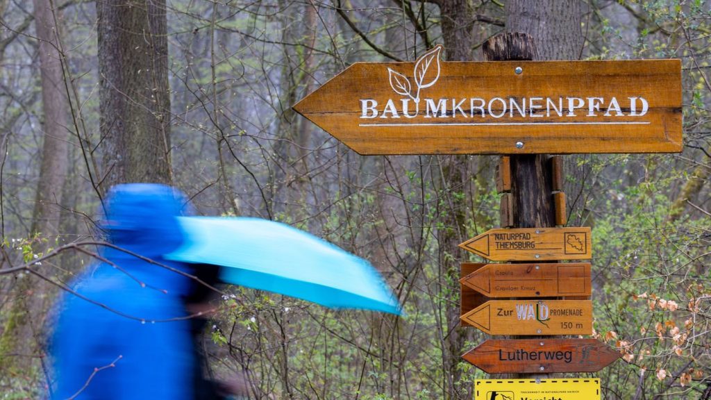 Nationalpark Hainich: Baumkronenpfad erstmals für mehrere Wochen geschlossen